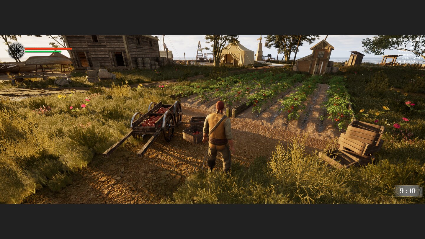 Dawn of Piracy