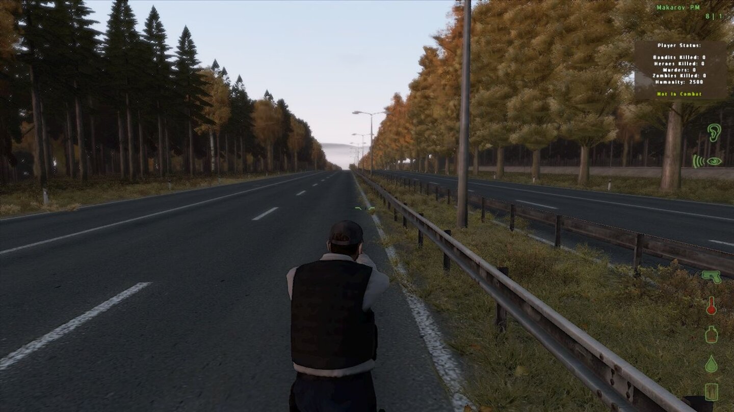 Live on the FastlaneDas Straßennetz der Insel Taviana ist stark ausgeprägt. Die Hauptschlagader stellt eine mehrspurige Autobahn dar.