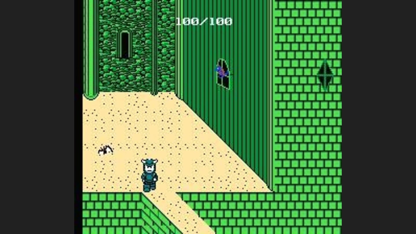 The pesky fly follows me