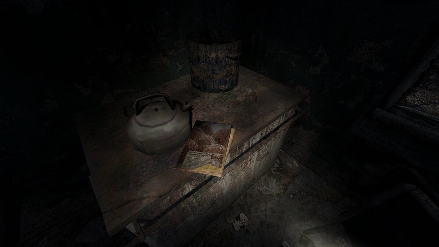 Dear Esther - Es wimmelt von kleinen Details, die viel oder rein gar nichts aussagen könnten.