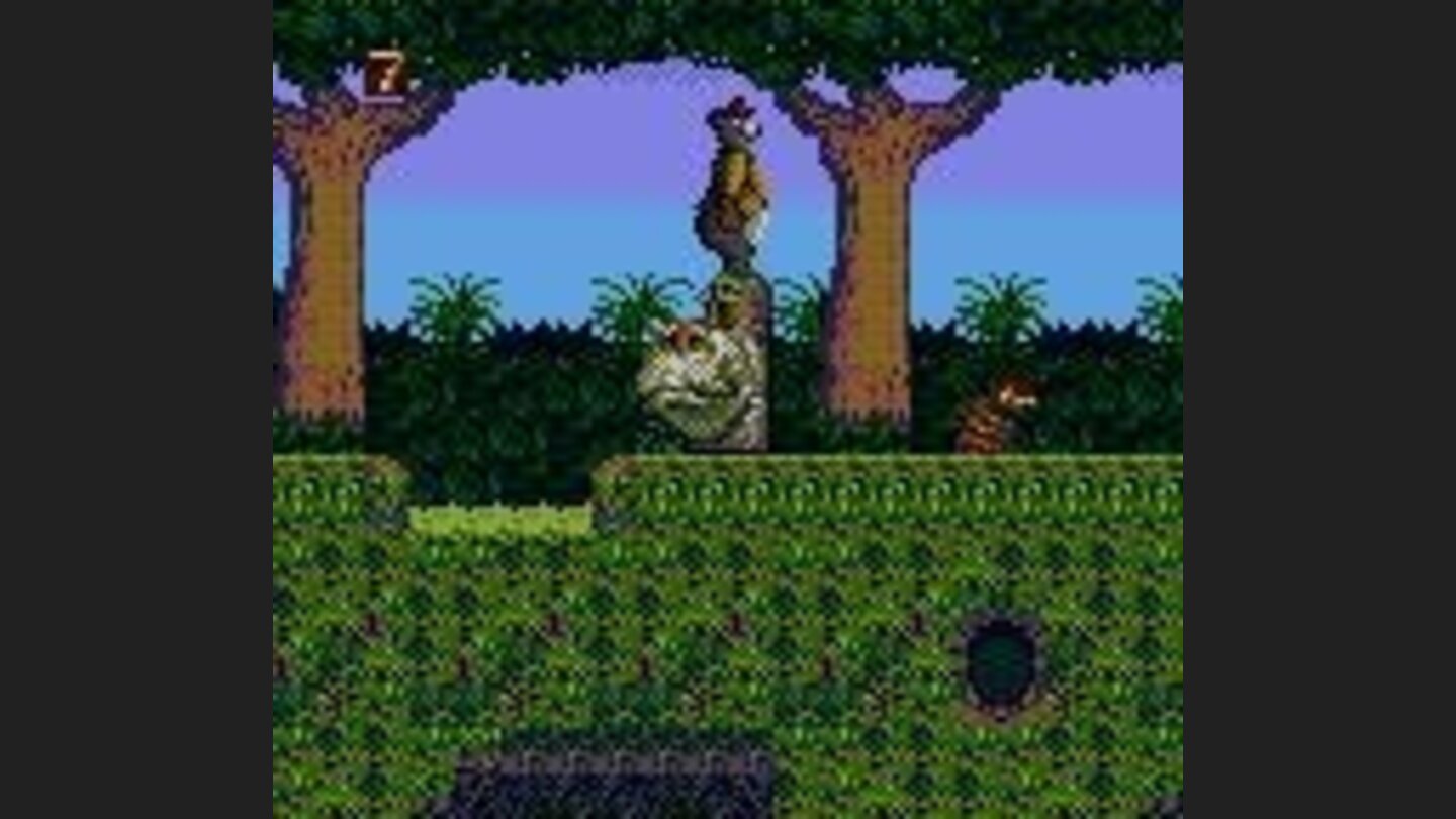 Watch out for the snake