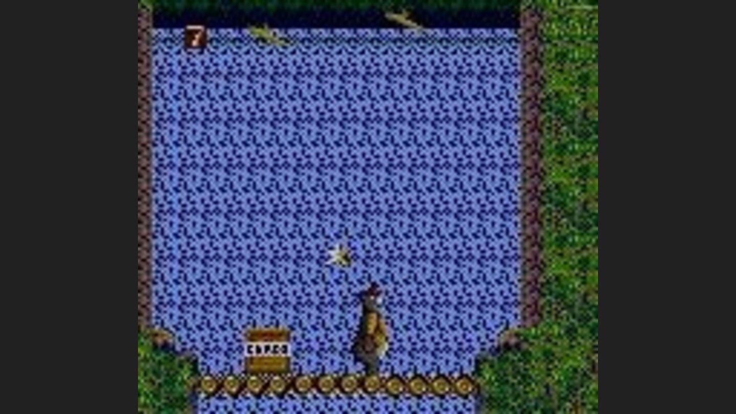 On bridge near cargo