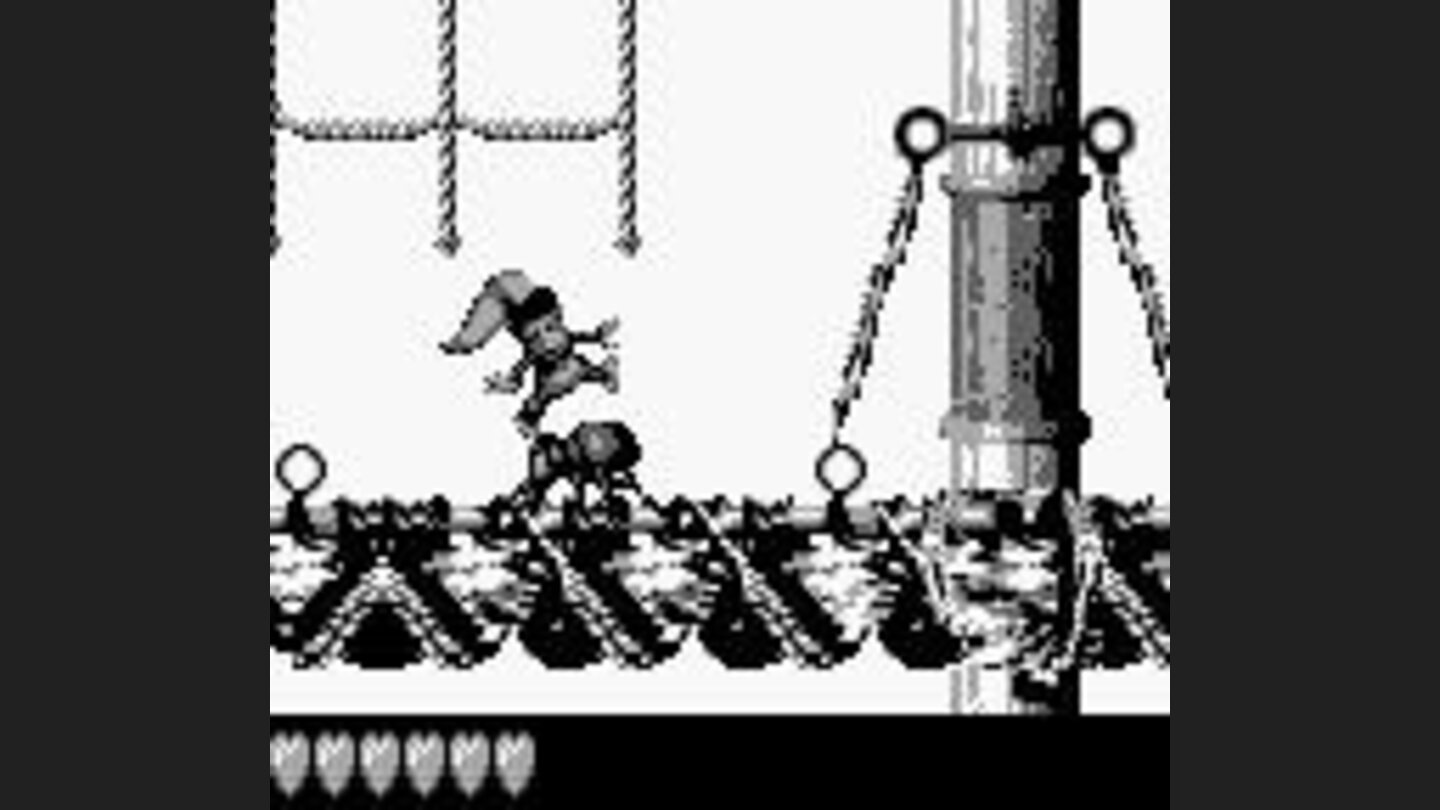 Defeated for a fool beetle...