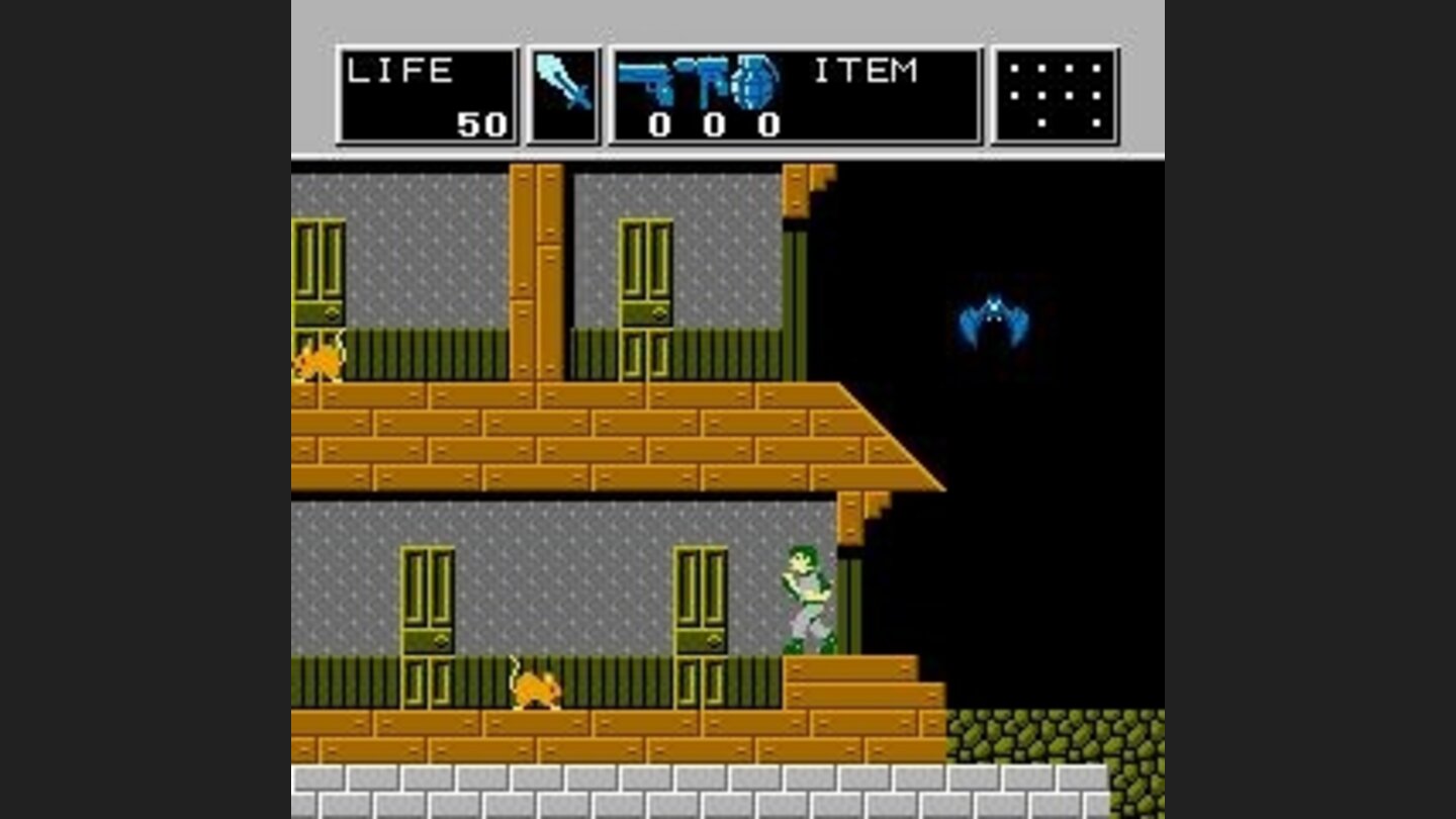 Entering the Mansion