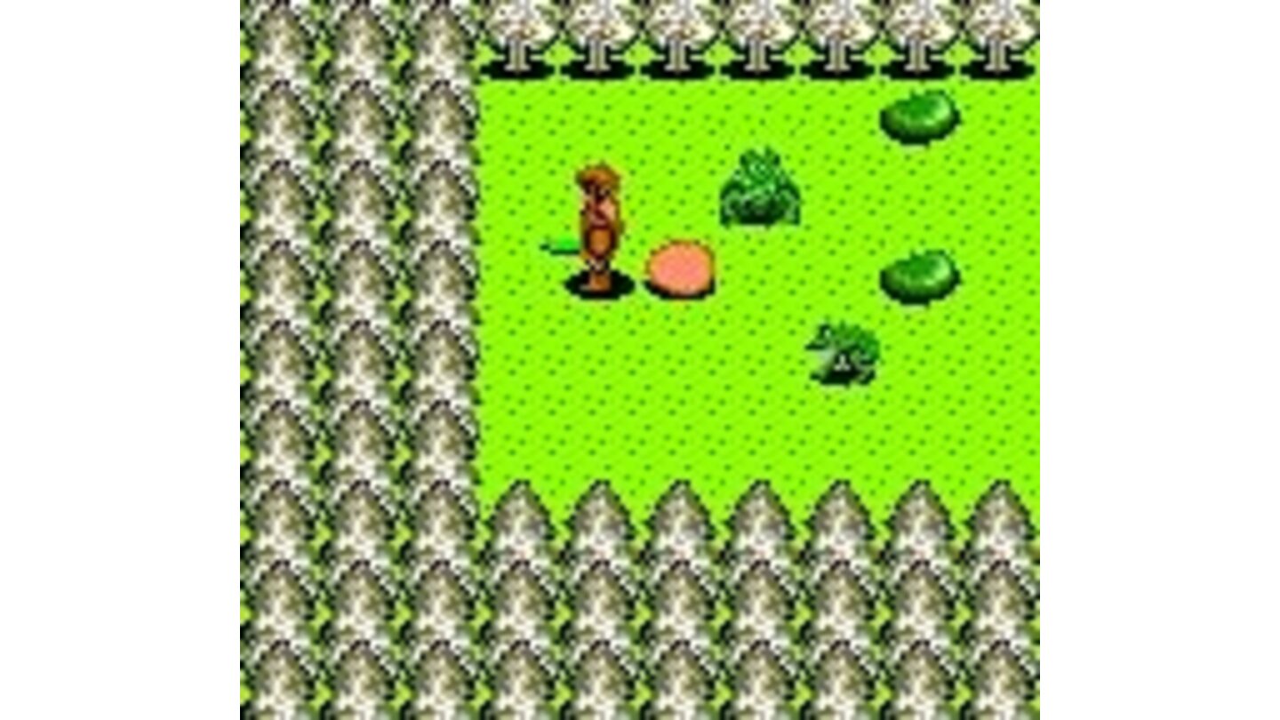 Random forest location. Surrounded by enemies