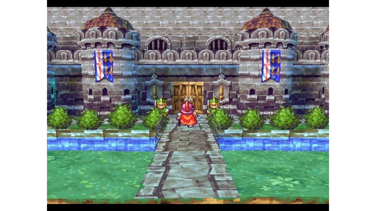 Some castle entrances have this cool 3D-scrolling view instead of the usual top-down one