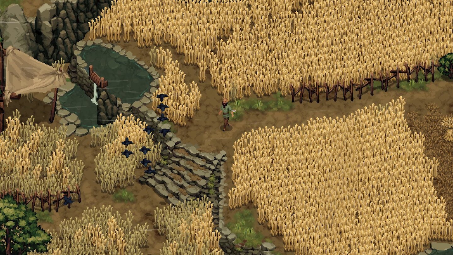 Drova 2: Torn Lands
