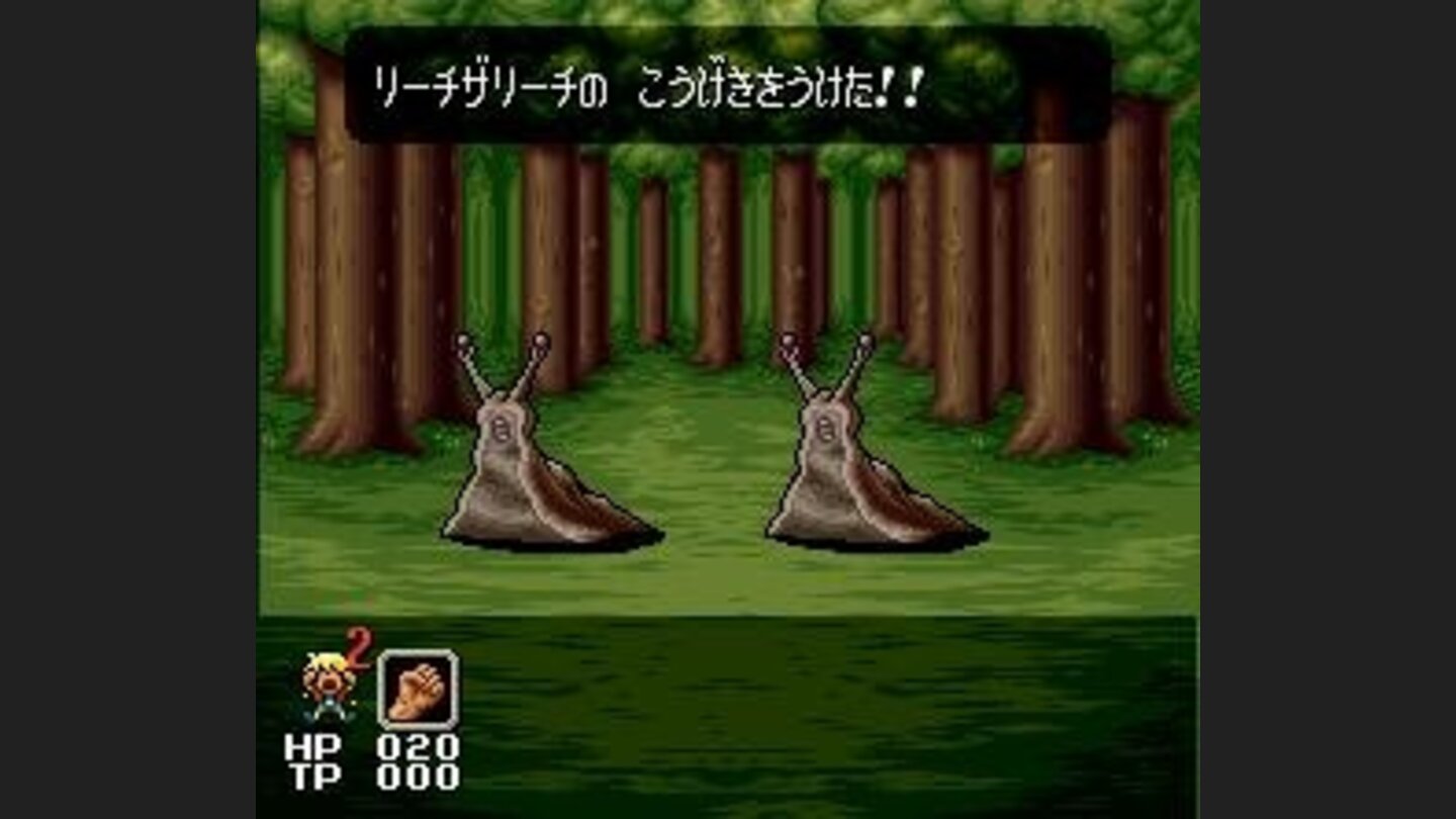 Battle in a forest