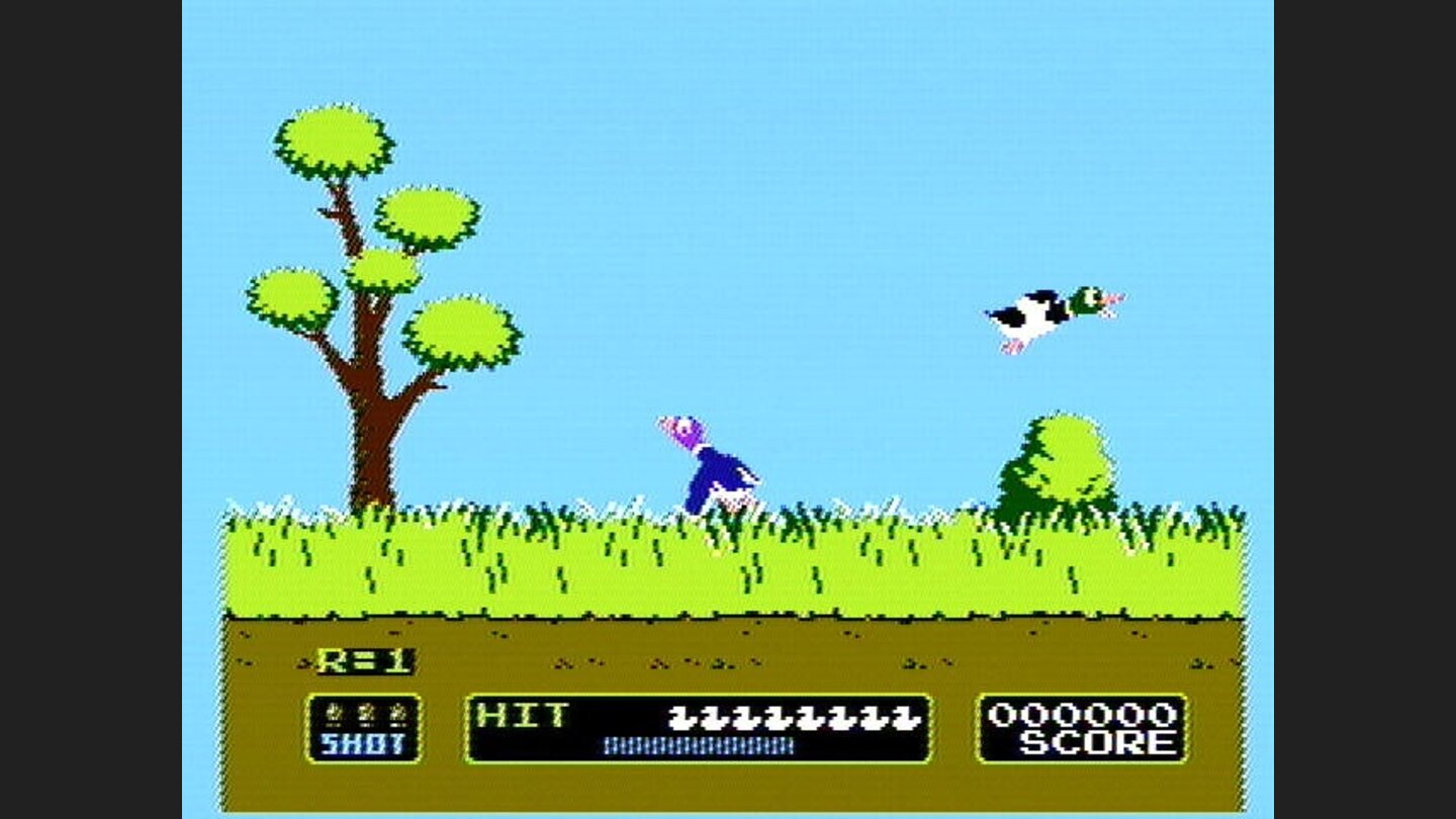 And the ducks take off...