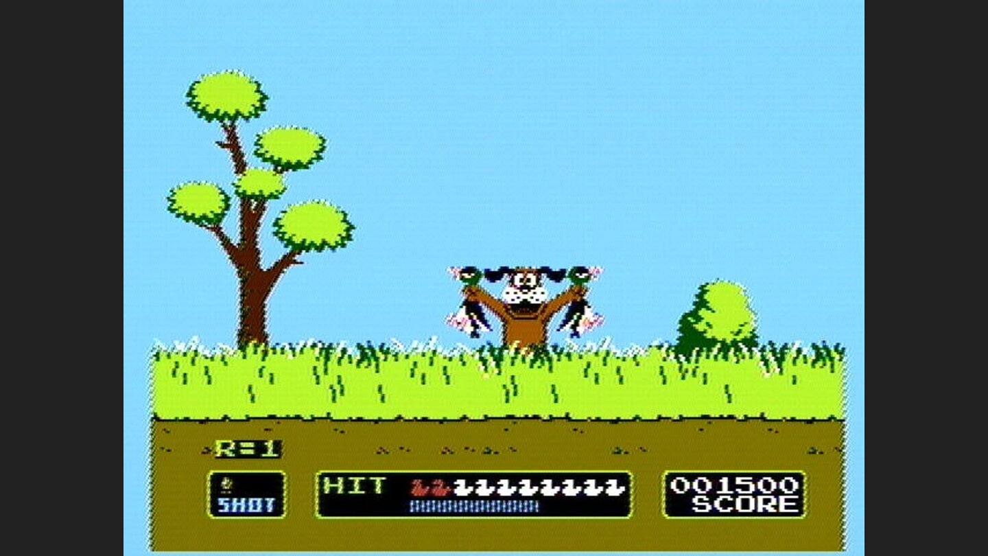 Your dog retrieves the ducks, or laughs if you miss