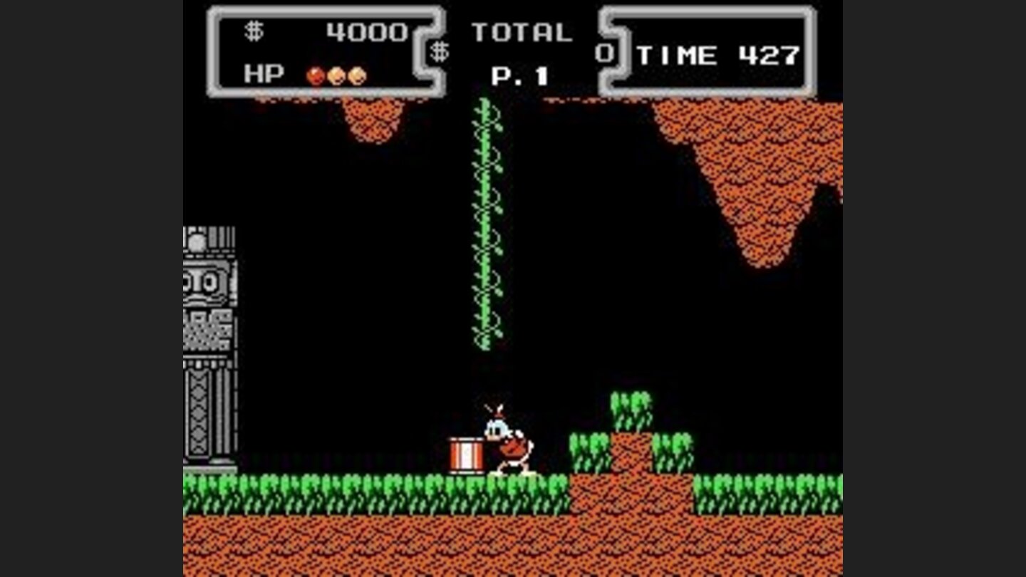 Another shot taken in Amazon.