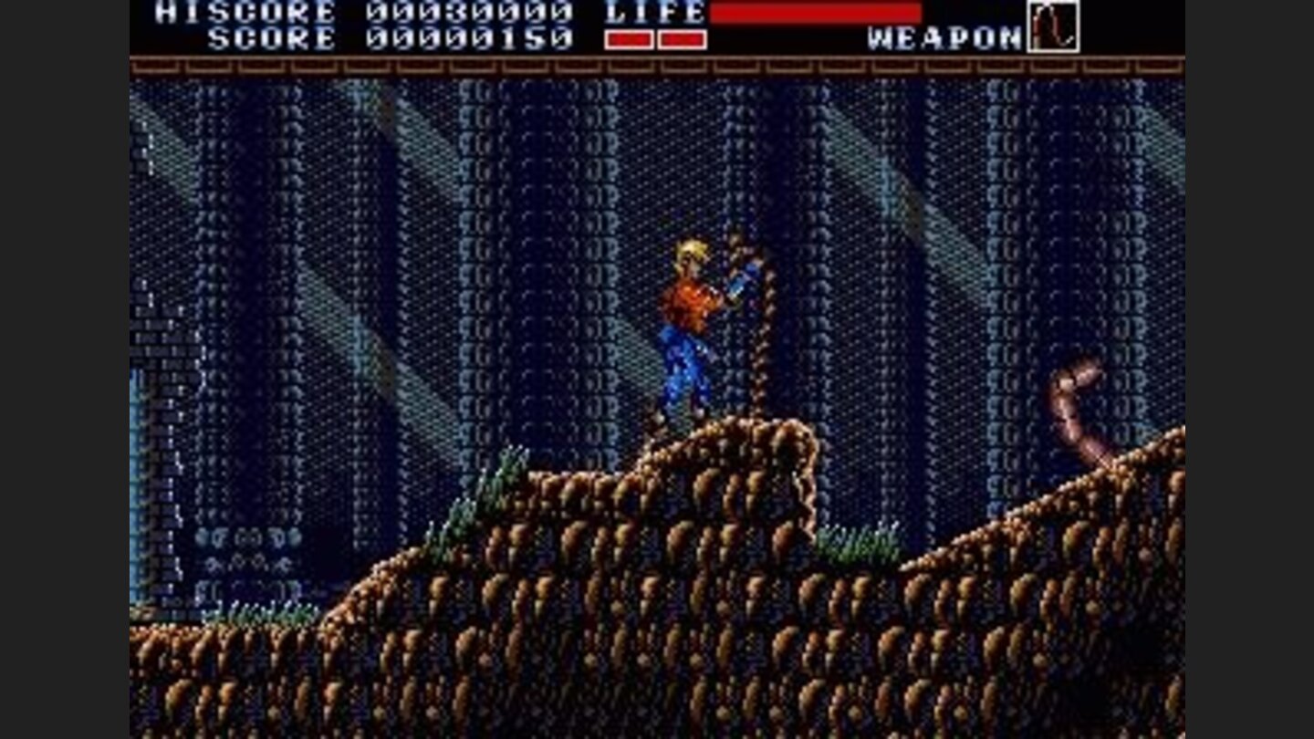 Your whip is a trusty companion.