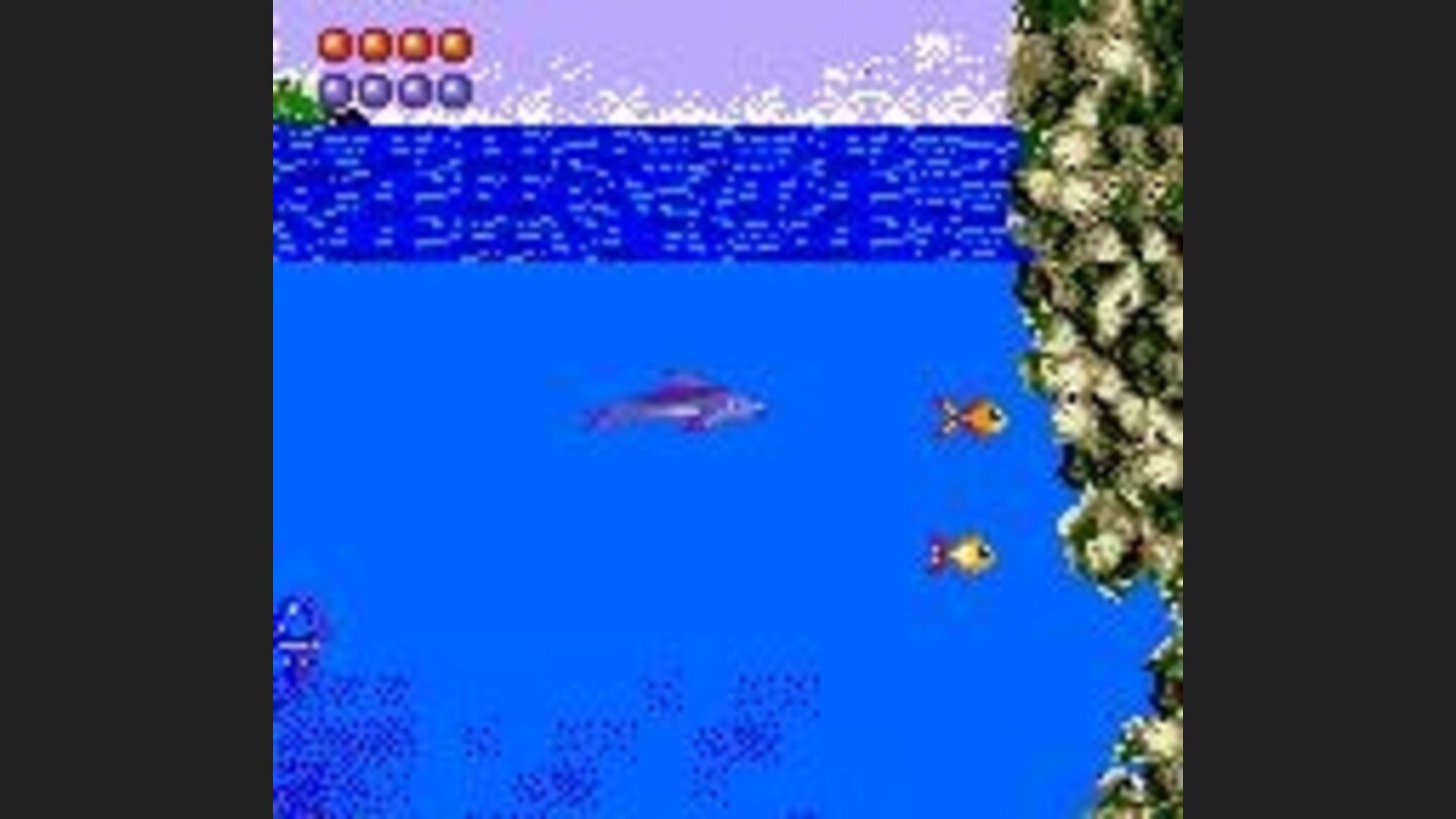 Charge at fish for food