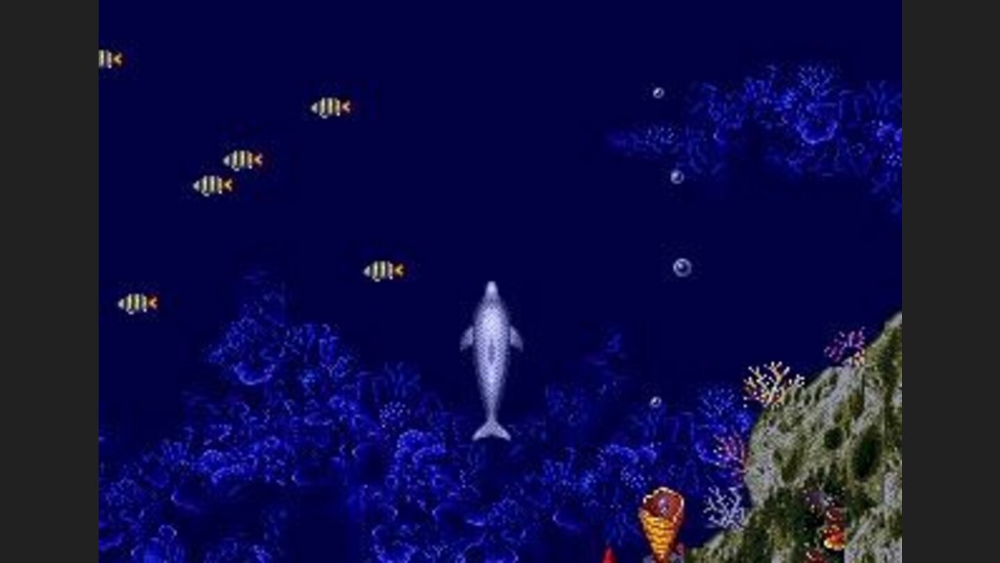 Ecco can speed up, especially when swimming against the current