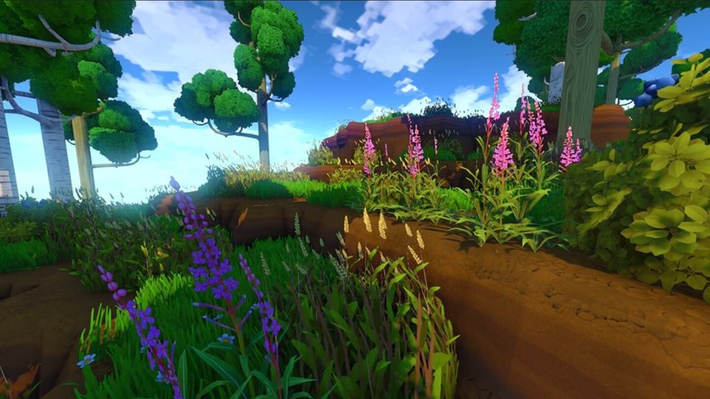 Eco