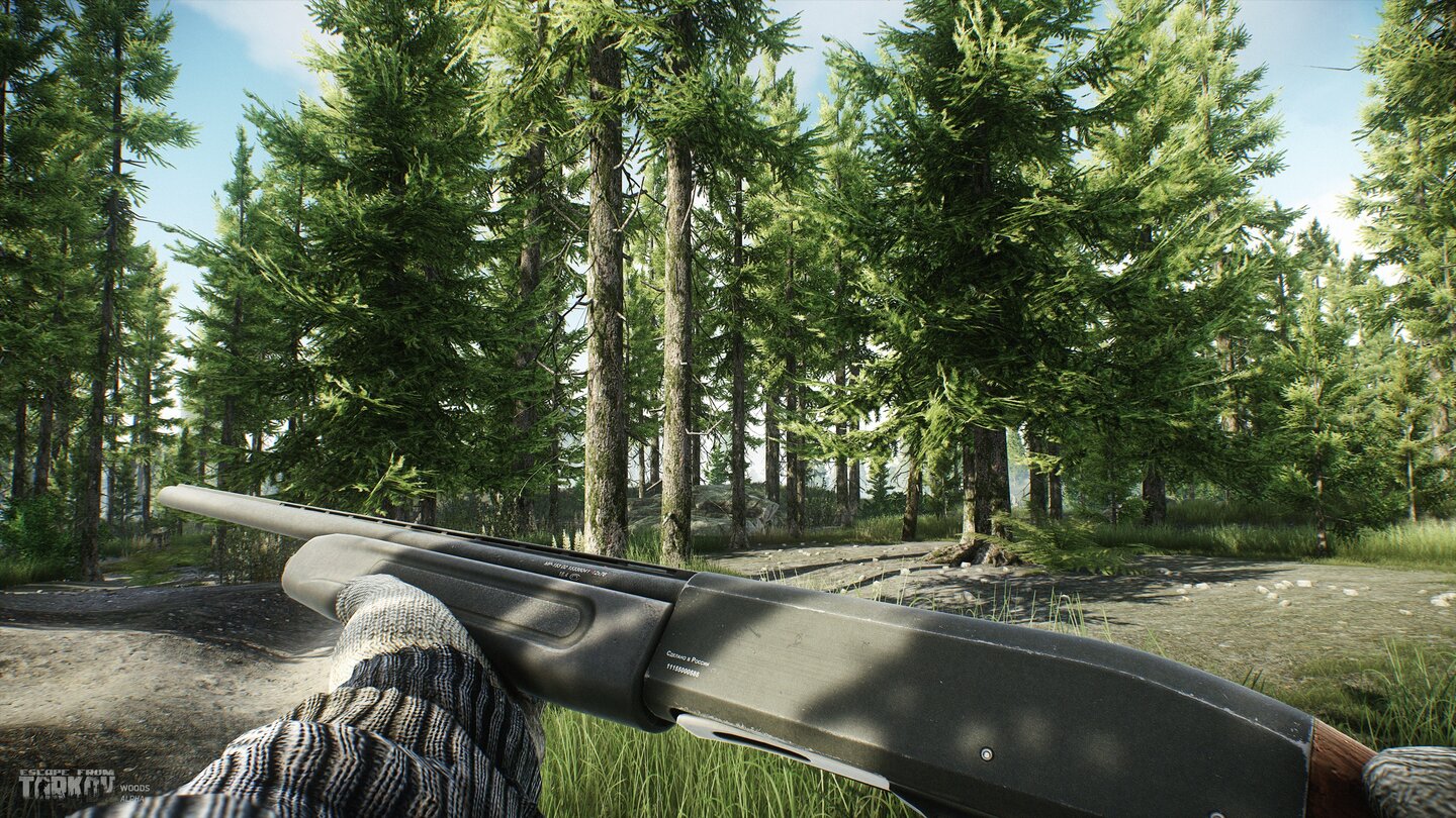Escape from Tarkov - Screenshots aus der Forest-Region