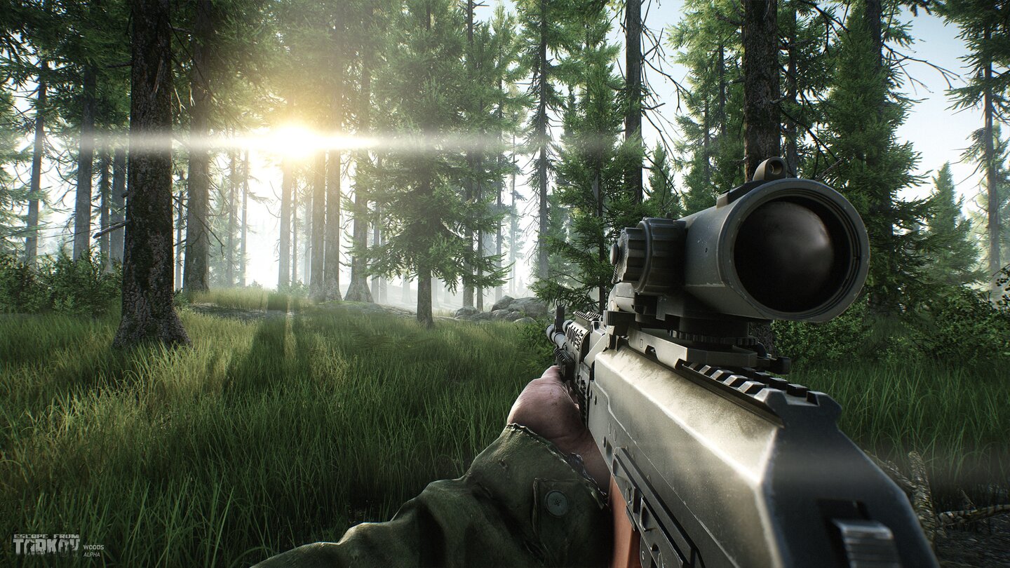 Escape from Tarkov - Screenshots aus der Forest-Region
