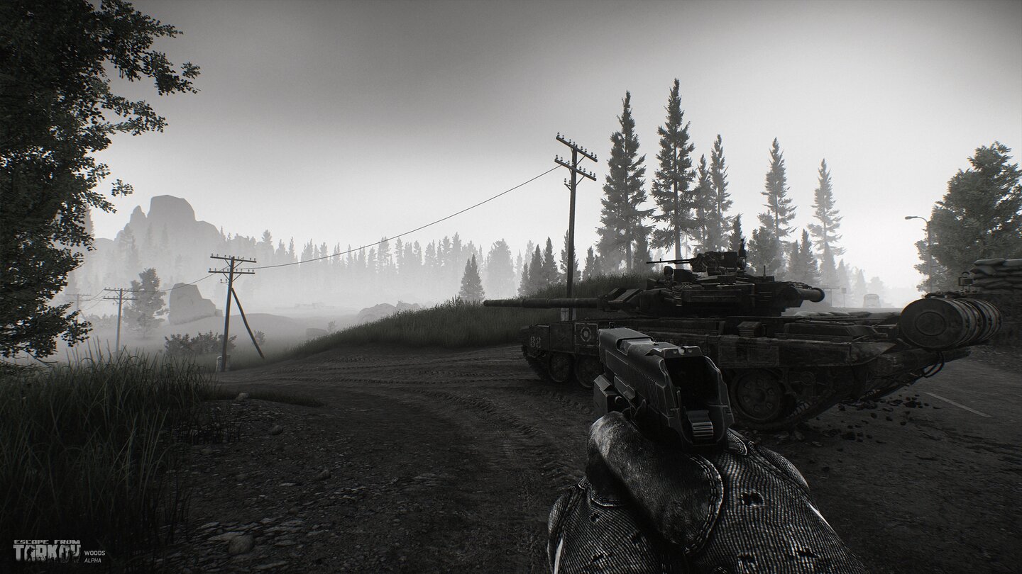 Escape from Tarkov - Screenshots aus der Forest-Region