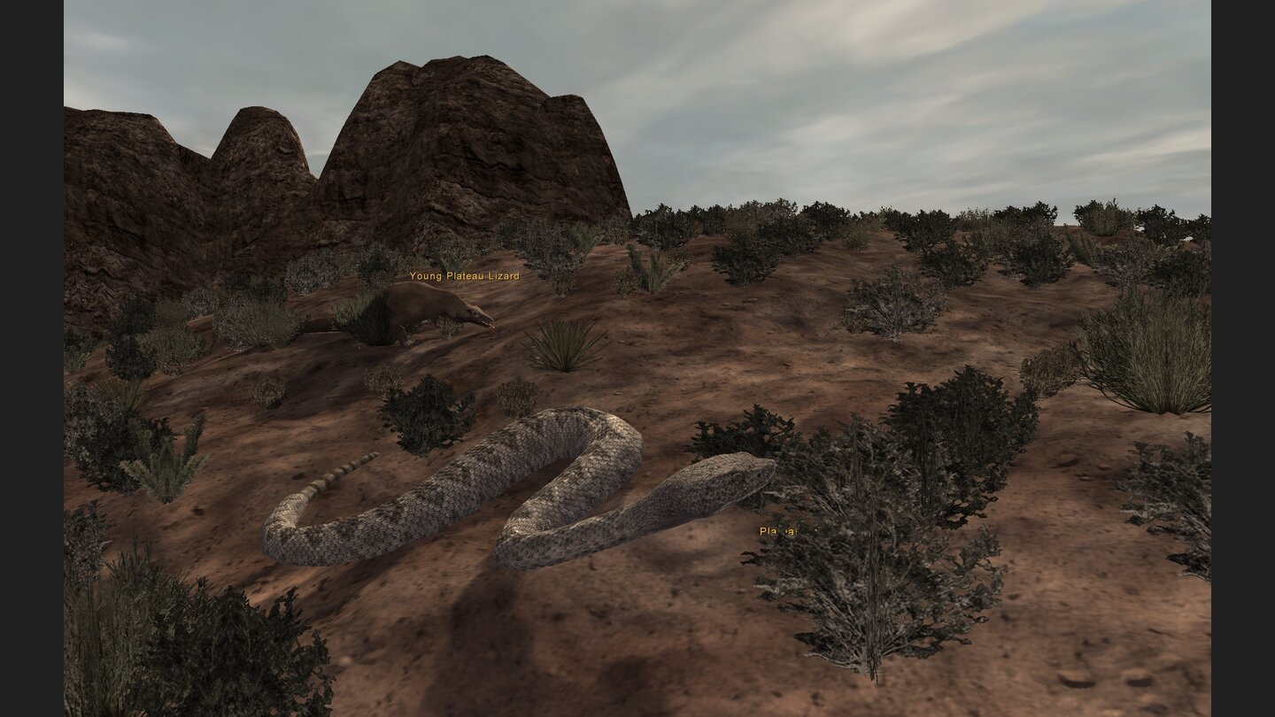 Fallen Earth
