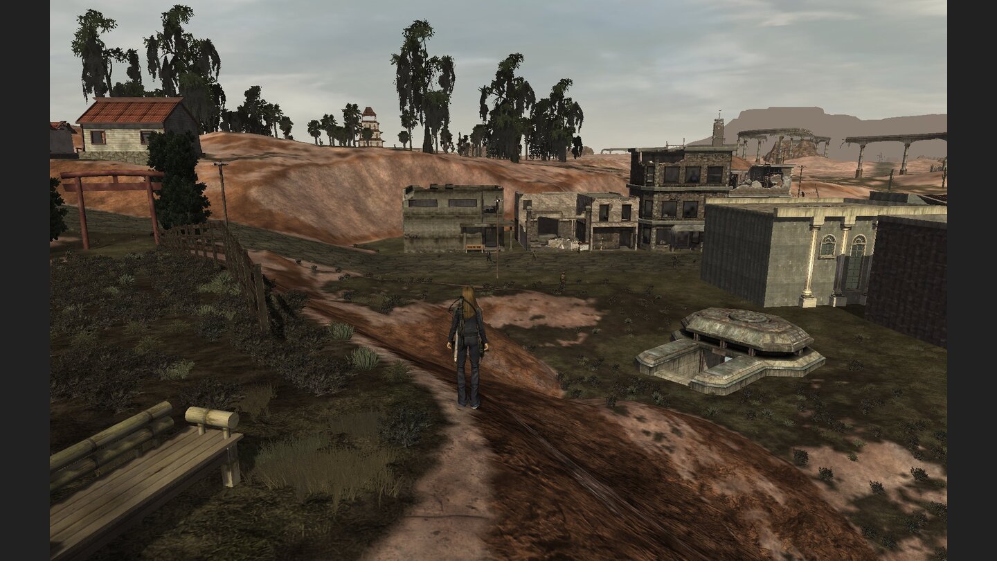 Fallen Earth