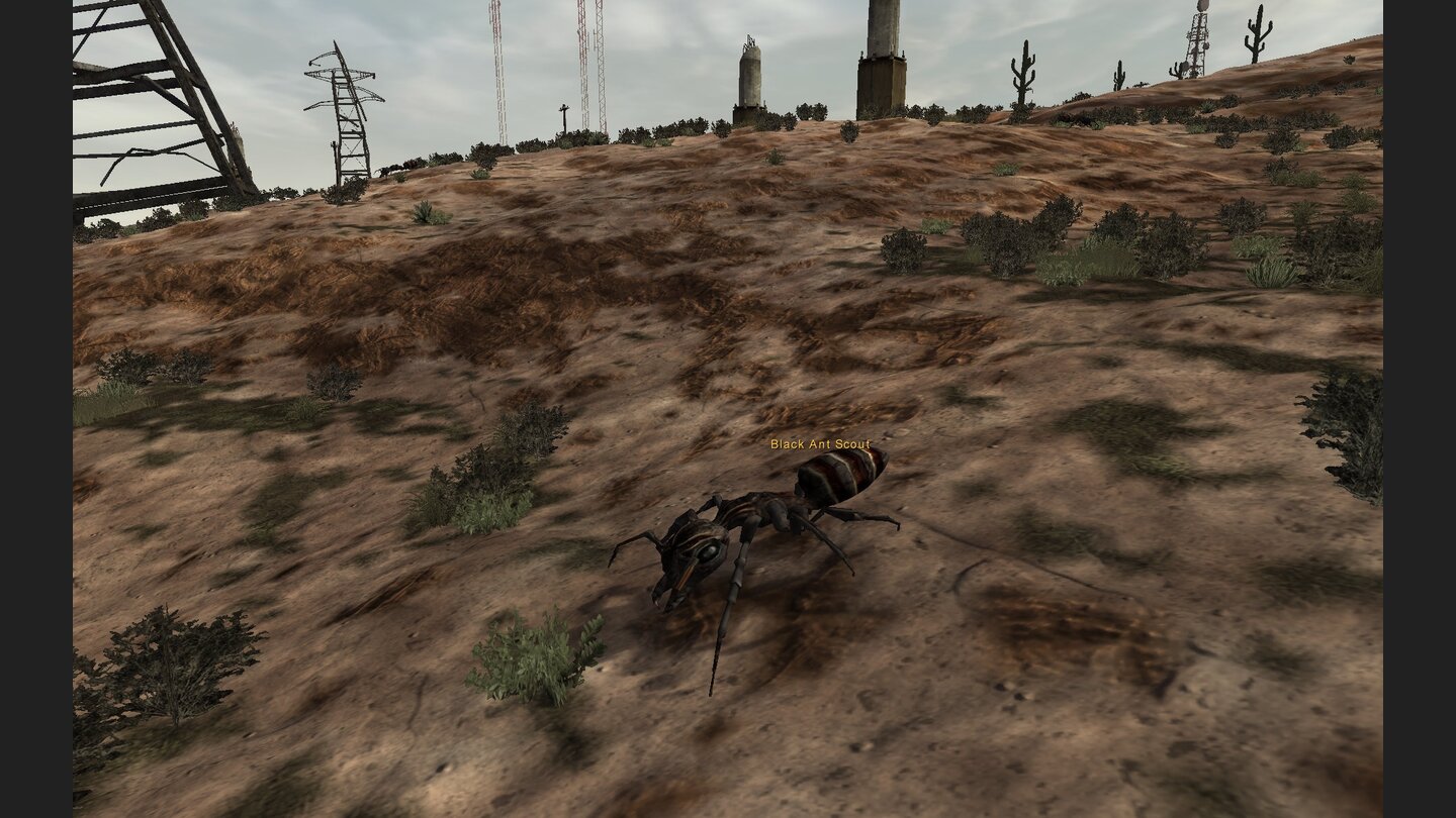 Fallen Earth