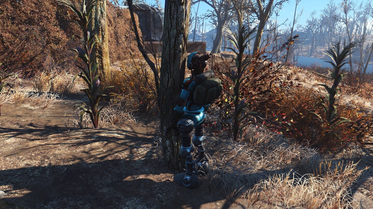 Fallout 4 - Automatron
Die neuen Roboter aus dem DLC verfügen über dieselbe fantastische Wegfindungs-KI wie alle anderen Begleiter im Spiel. Mist.