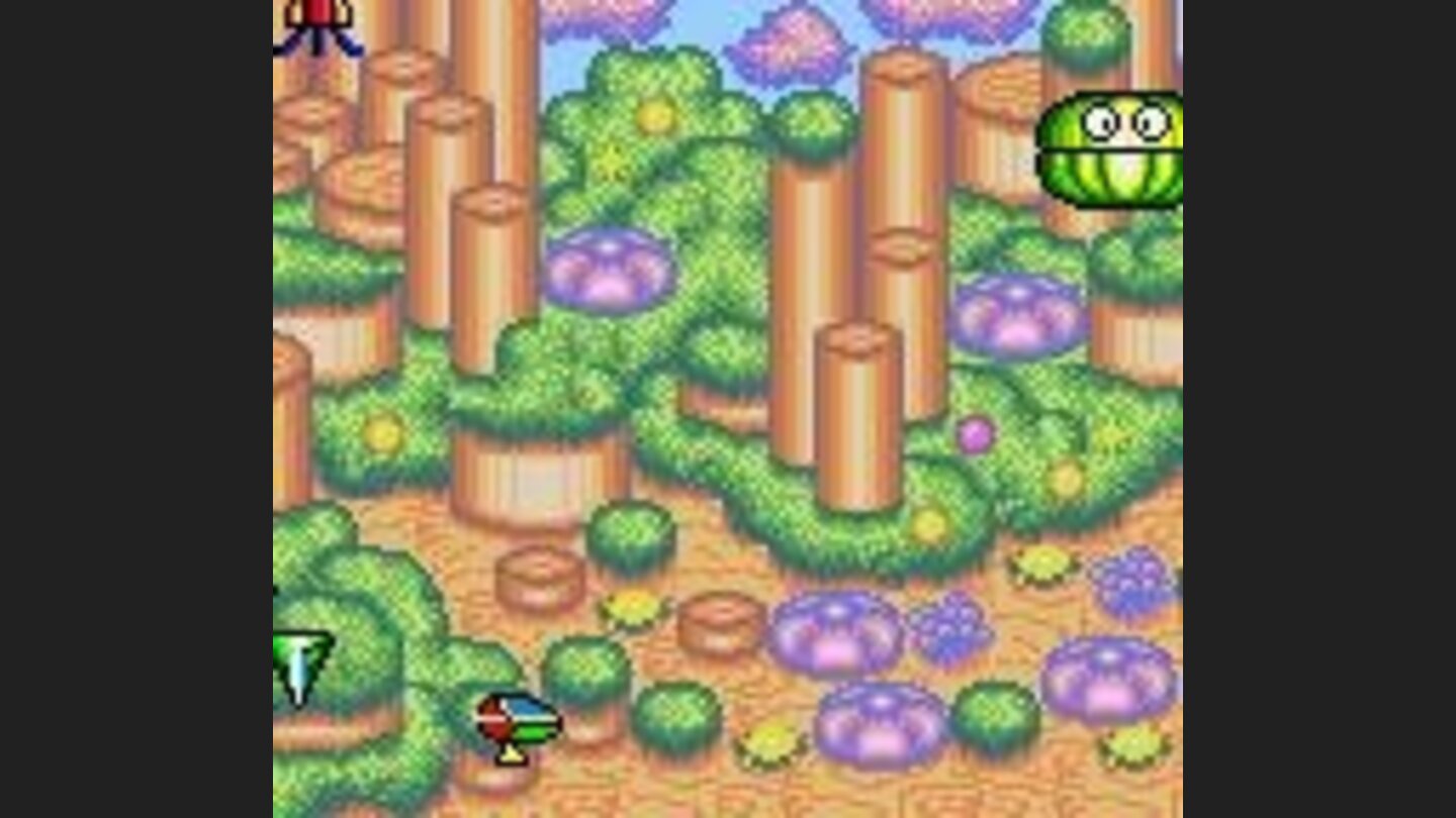 Walking on the ground