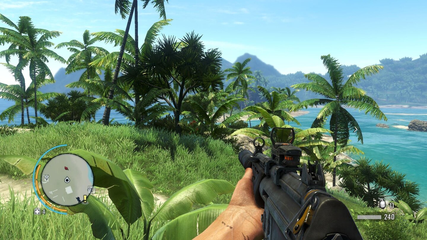 Far Cry 3 Niedrig