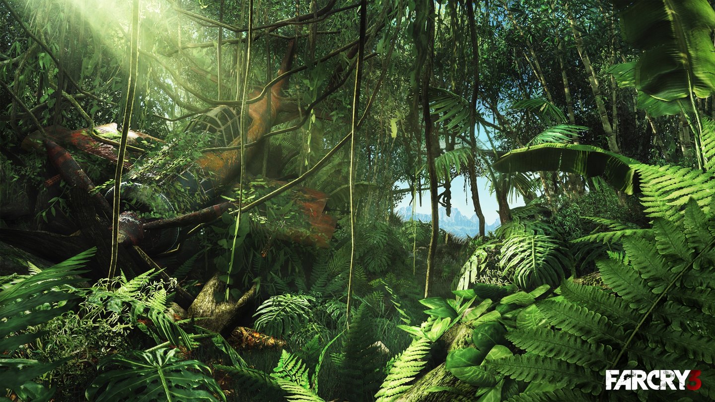 Far Cry 3Im dichten Dschungel verrottet ein Jagdflugzeug aus dem Zweiten Weltkrieg. Hat der Absturz der Maschine etwas mit dem finsteren Geheimnis der Insel zu tun?