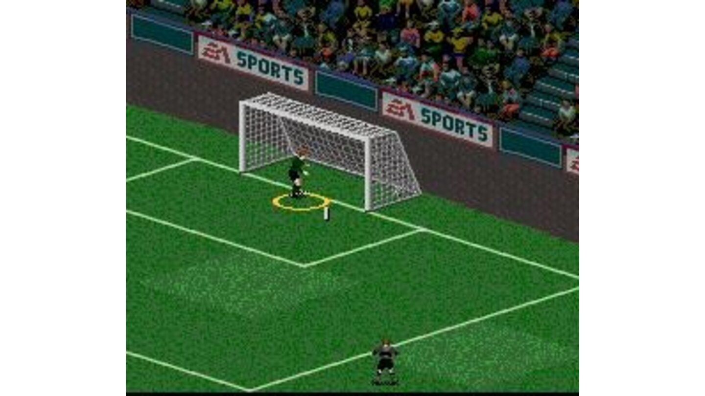 The goaltender couldn't stop that penalty kick...