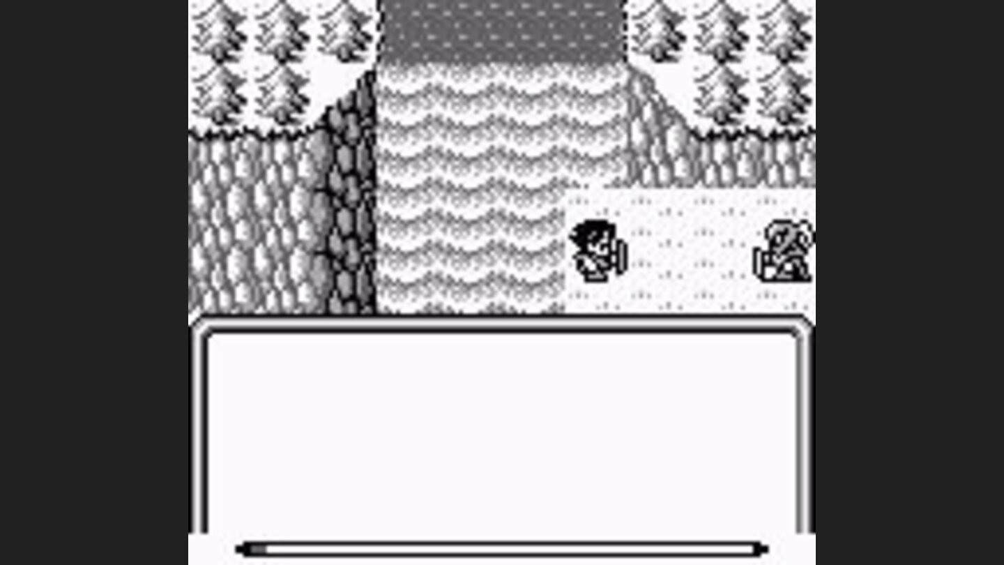 Flight from the Dark Lord