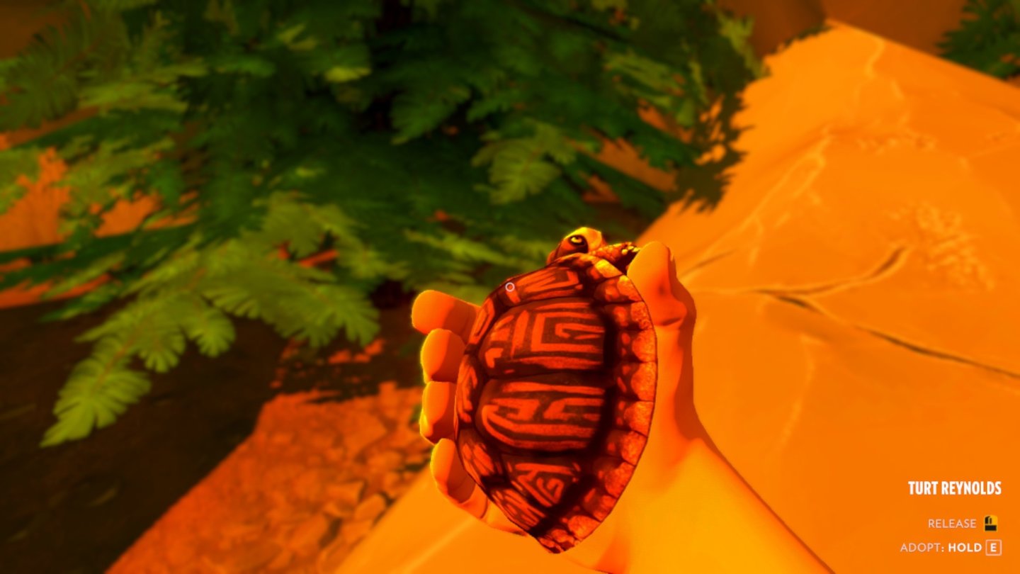FirewatchNett für Tierfreunde: Wer möchte kann unterwegs eine Schildkröte adoptieren und sie mit nach Hause nehmen. Der kleine Gefährte lebt dann auch tatsächlich mit uns im Wachturm.
