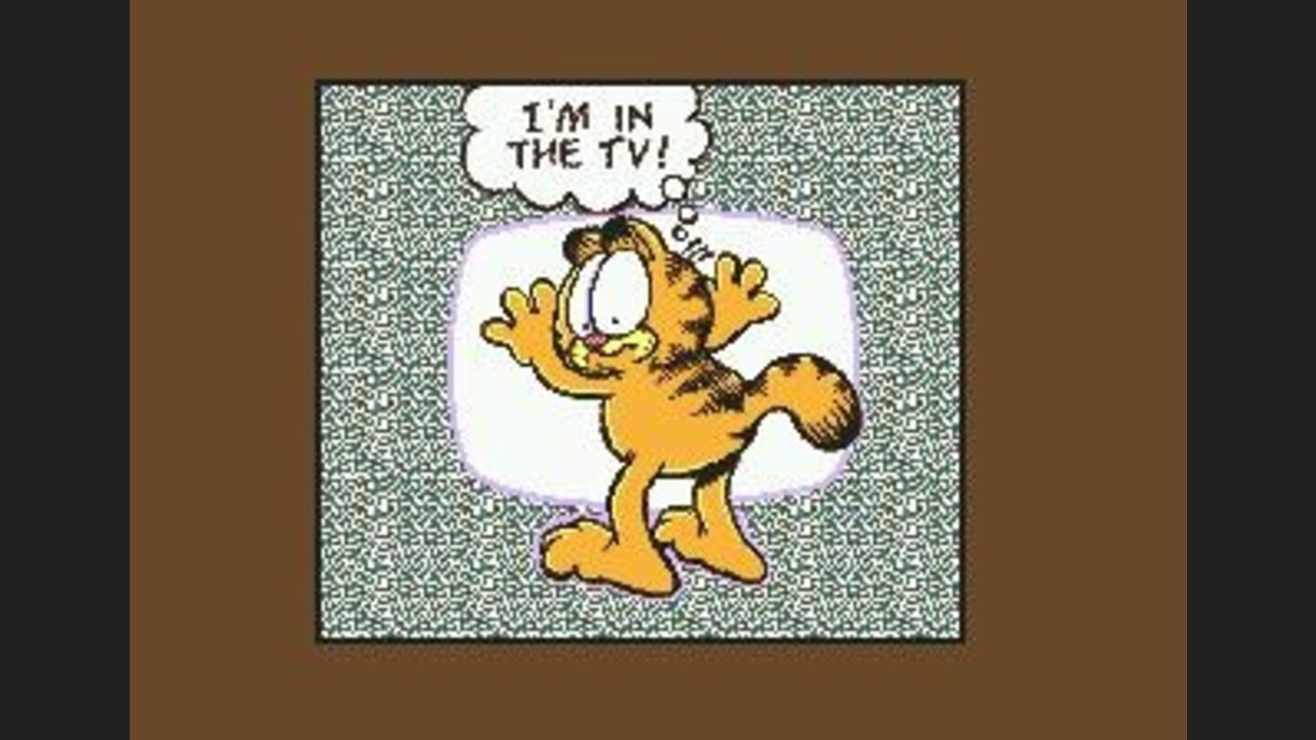 Garfield in the TV