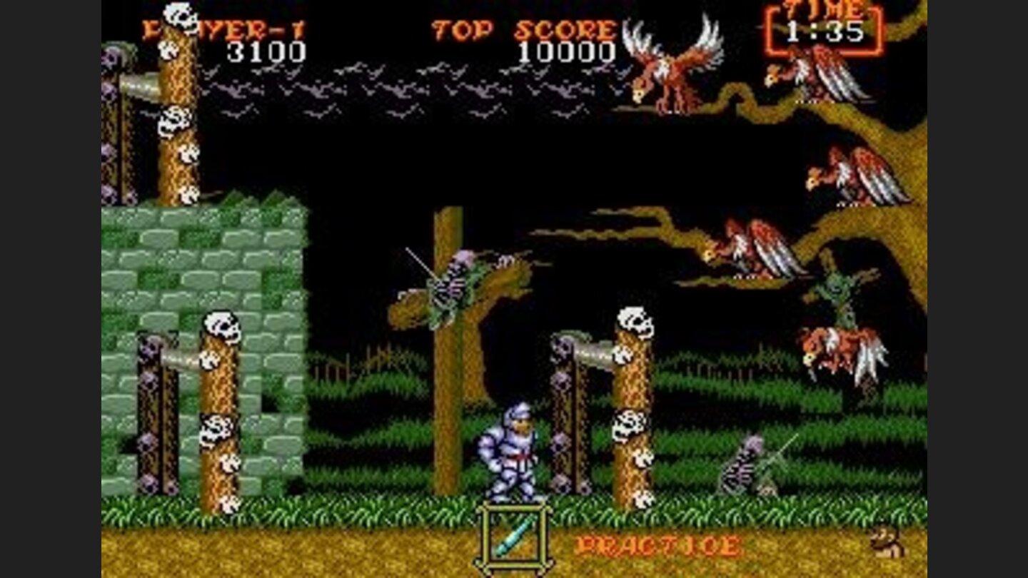 birdies everywhere!!