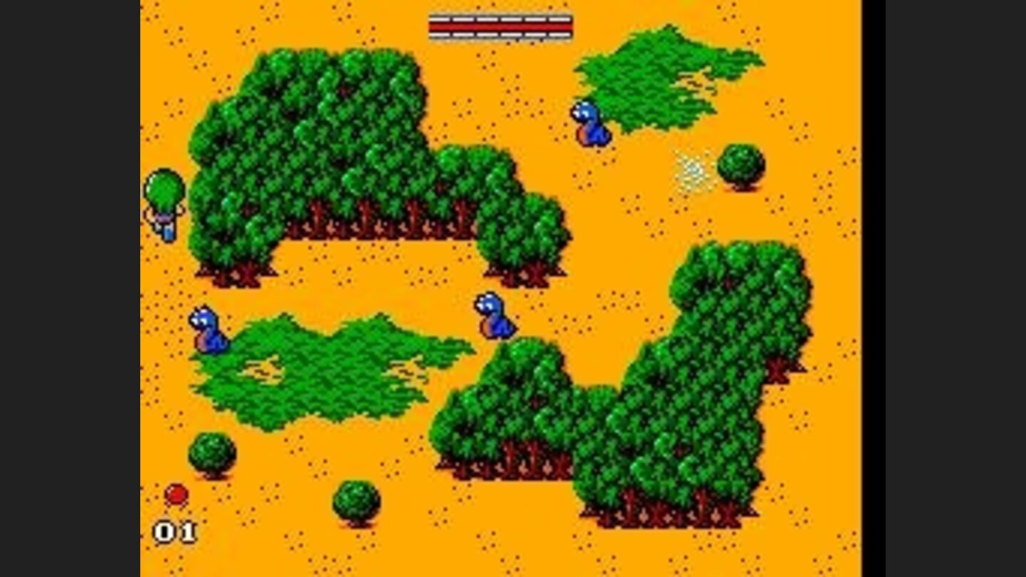 The Valley