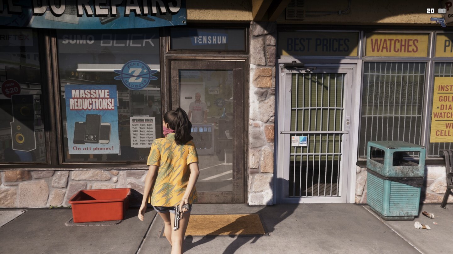 GTA 6 (Netflix Reveal)