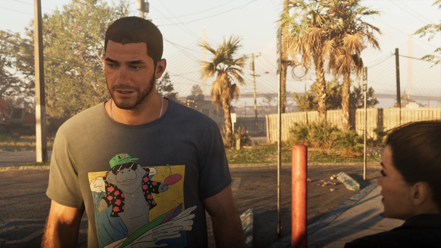 GTA 6 (Netflix Reveal)