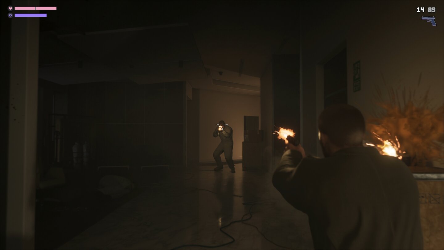 GTA 6 (Netflix Reveal)