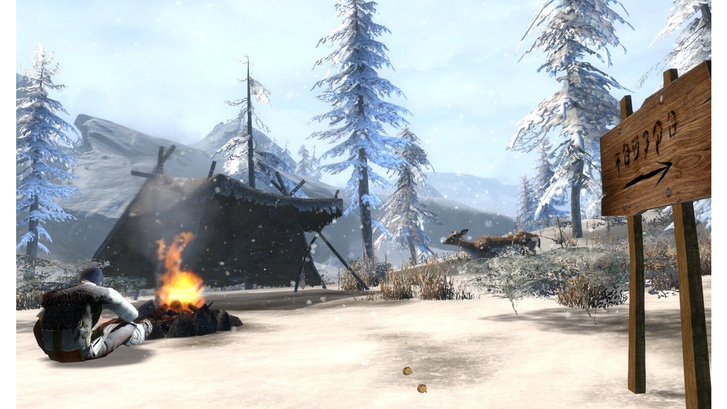Guild Wars 2 - Flamme und FrostDas Schild weist den Weg nach Hoelbrak. Aber bei diesem Andenken-Sammler ist’s doch auch ganz schön…