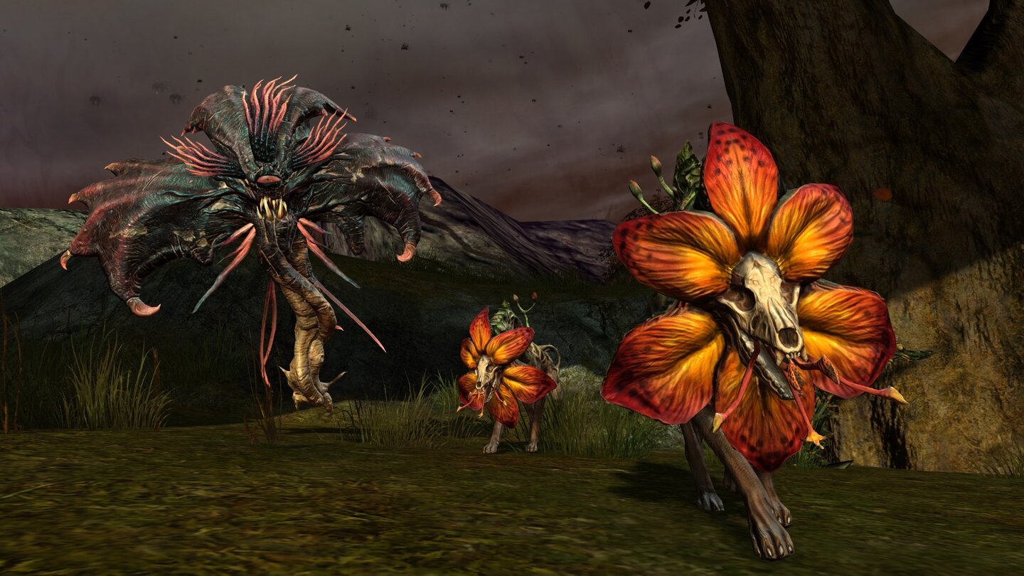 Guild Wars 2 - Screenshots aus dem Update »Dragon's Reach«