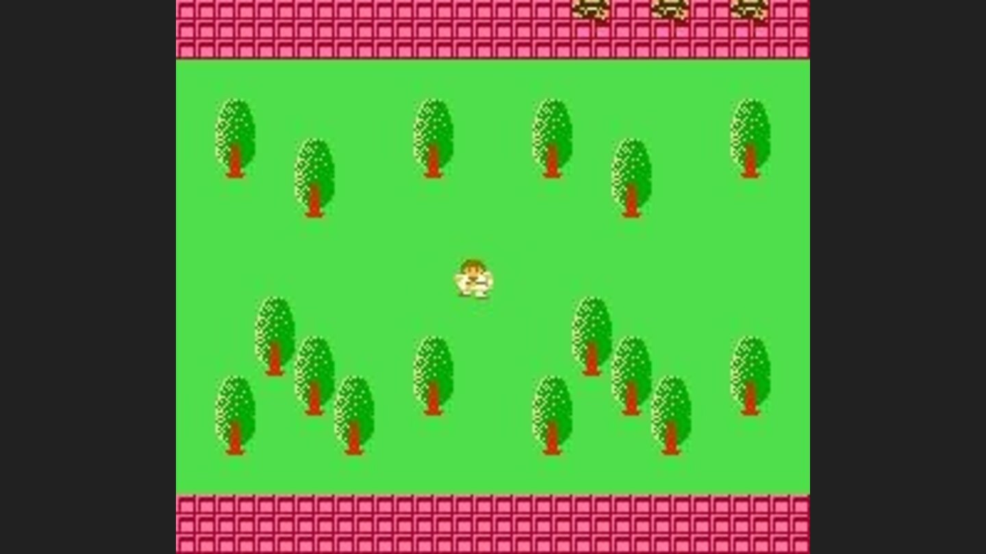 In a little forest between two roads