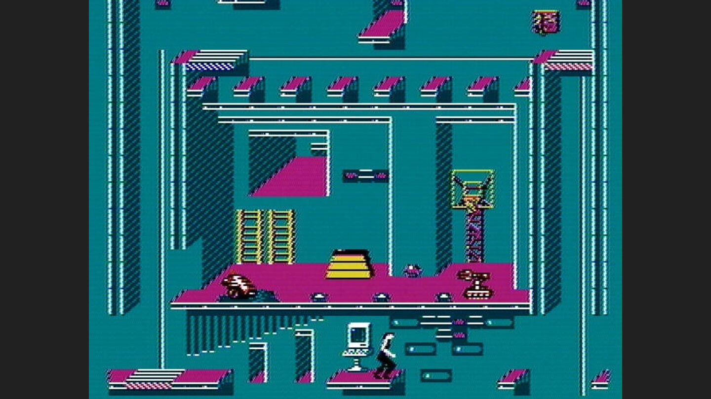 Search the gymnasium