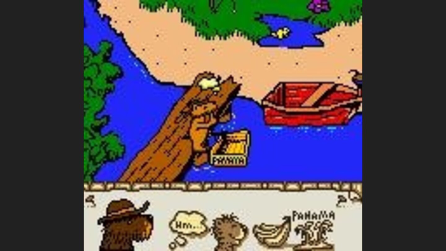 the bear finds the banana chest from Panama