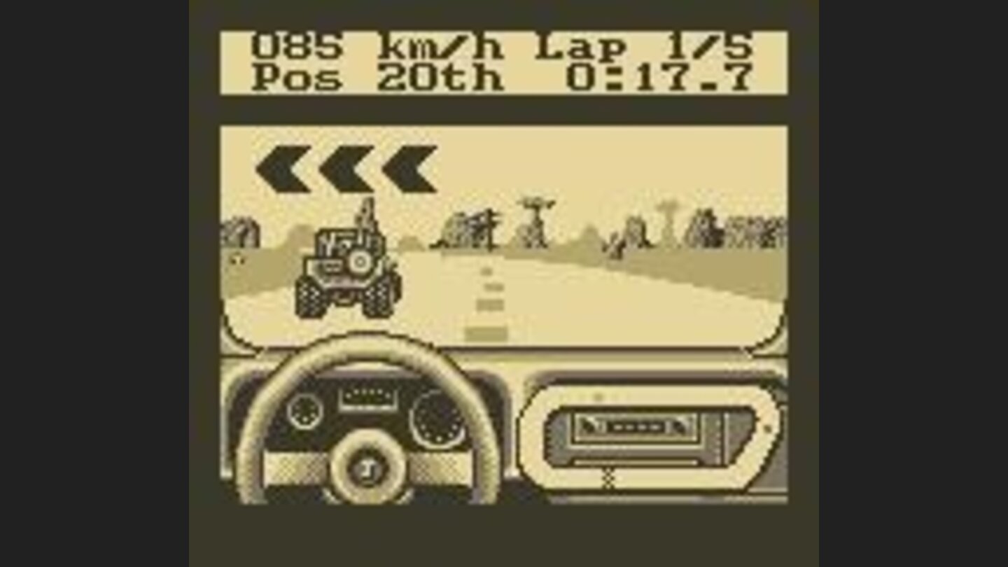 Racing through the desert