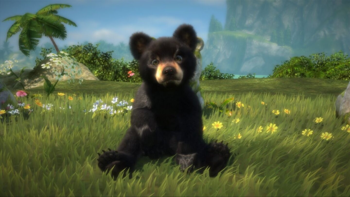 Kinectimals: Now with Bears