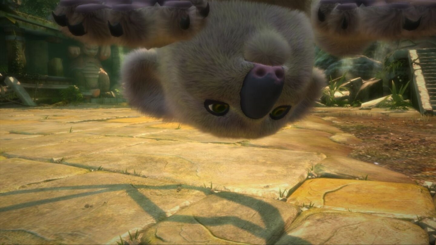 Kinectimals: Now with Bears