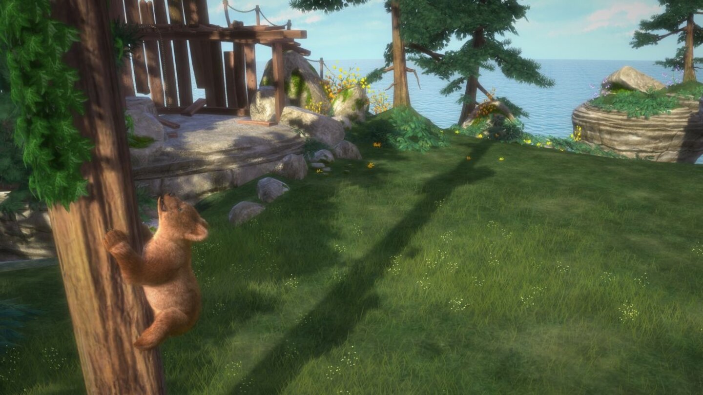 Kinectimals: Now with Bears