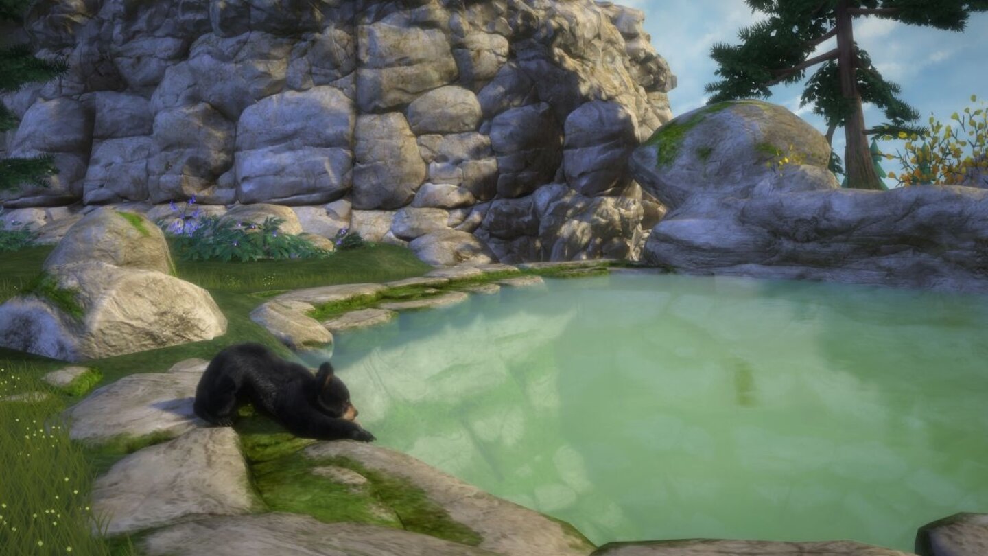 Kinectimals: Now with Bears