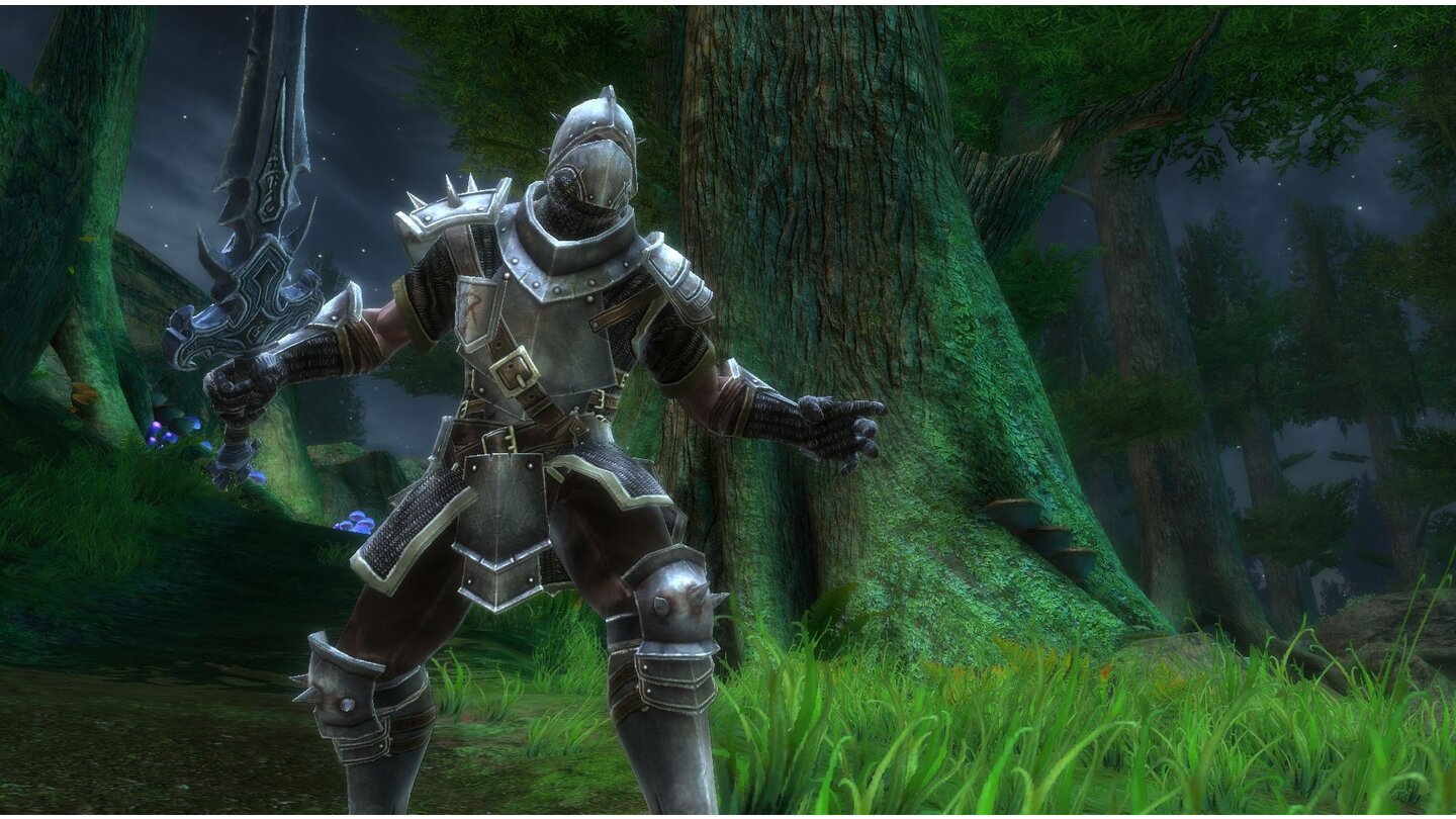 Kingdoms of Amalur: The Reckoning