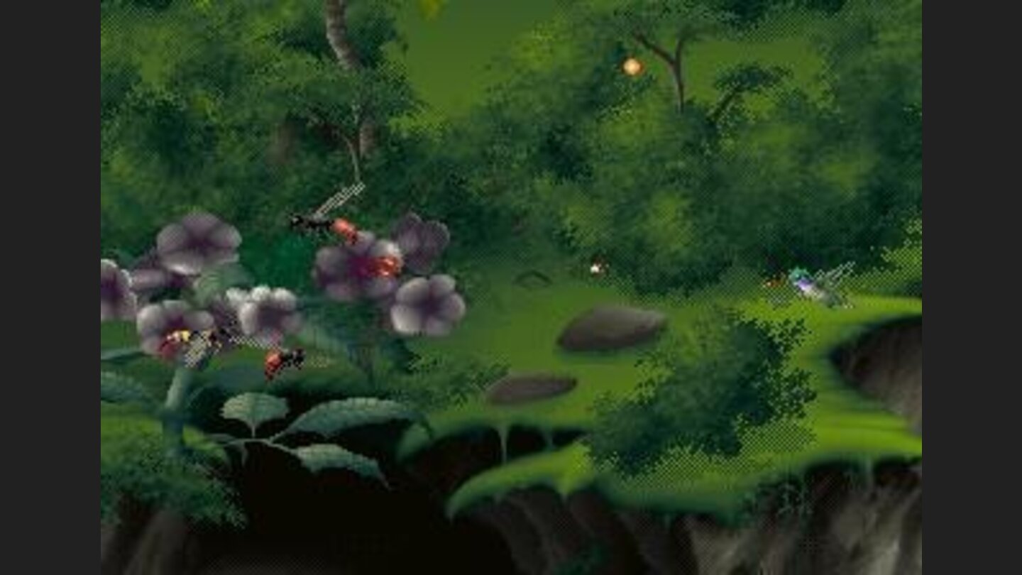 Clear the bugs away from the flowers.